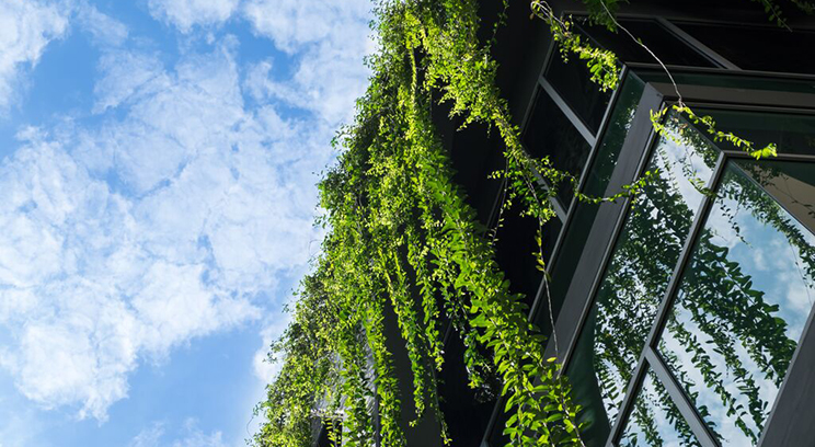 exterior of building  with sky and foliage