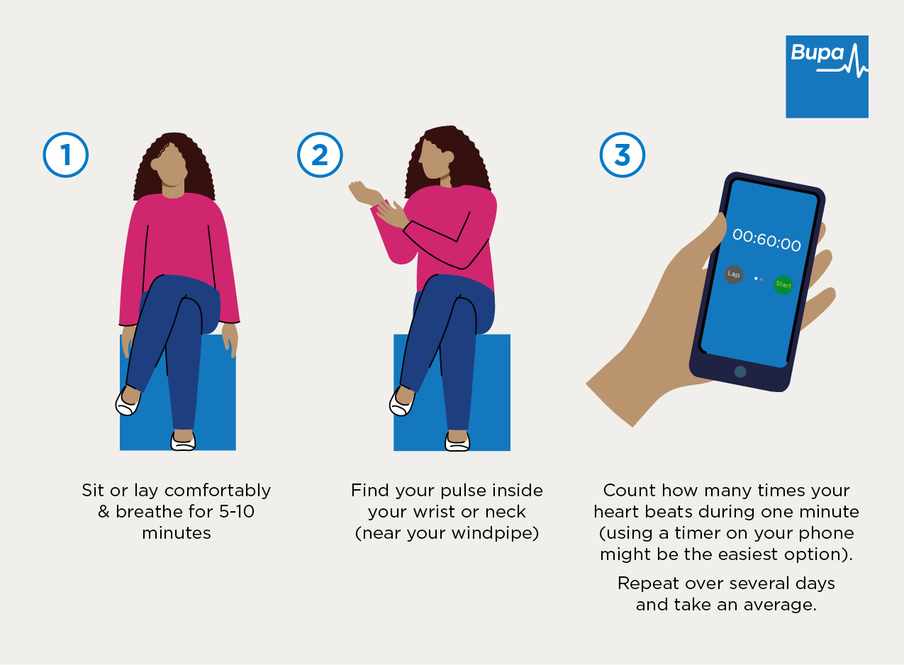 1. Sit or lay comfortably & breathe for 5-10 minutes. 2. Find your pulse inside your wrist or neck (near your windpipe). 3. Count how many times your heart beats during one minute (using a timer on your phone might be the easiest option). Repeat over several days and take an average.